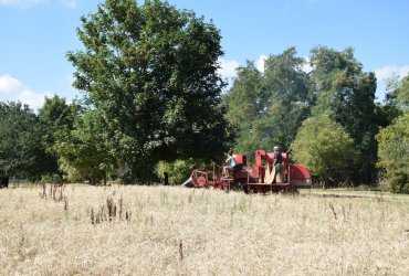 OPÉRATION DU BLÉ AU PAIN 2022 : LA RÉCOLTE